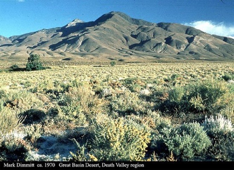 10 sa mạc lớn nhất thế giới có thể bạn chưa biết