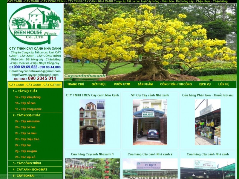 10 địa chỉ mua cây xanh văn phòng giá rẻ và đẹp nhất tại tphcm