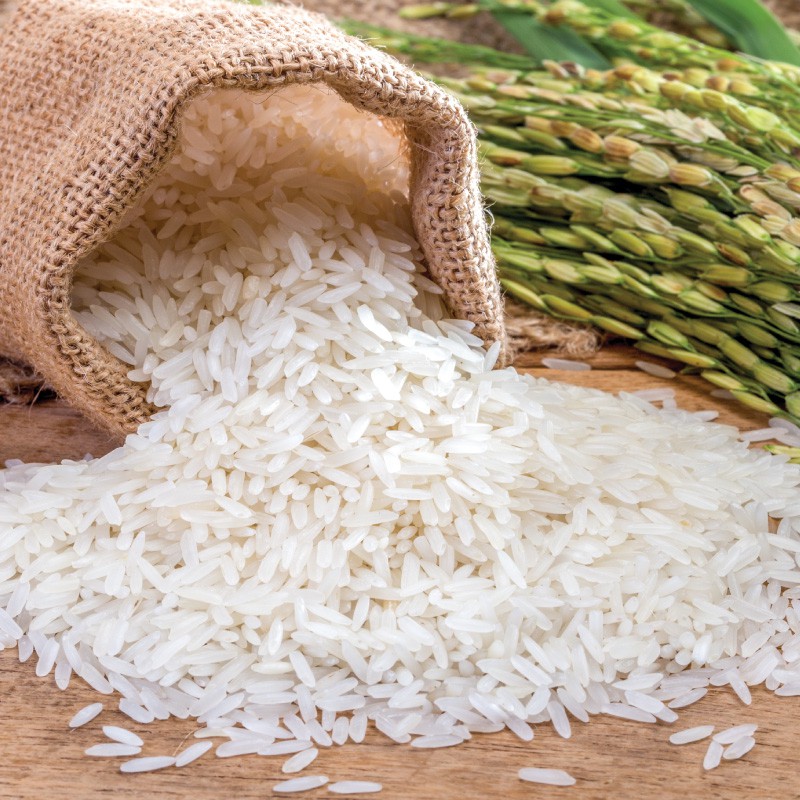10 loại gạo được người dân ưa chuộng nhất Việt Nam