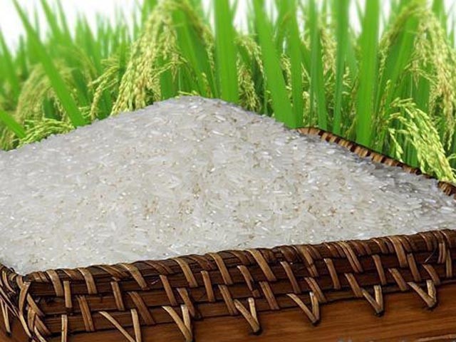 10 Đại lý bán gạo giá rẻ và uy tín nhất ở Đà Nẵng