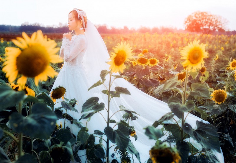 10 studio chụp ảnh cưới ngoại cảnh đẹp và chất lượng nhất tp. buôn ma thuột