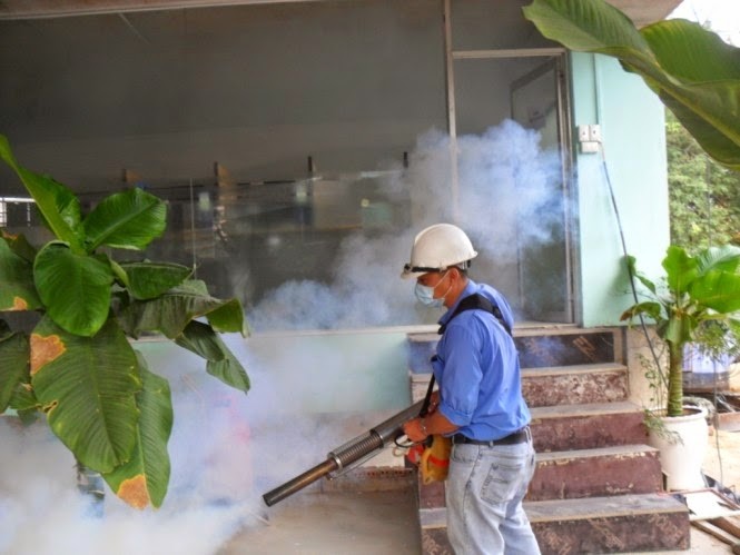 7 công ty có dịch vụ kiểm soát côn trùng uy tín nhất Việt Nam
