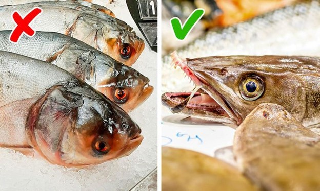 8 mẹo chọn mua cá tươi ngon, đảm bảo chất lượng