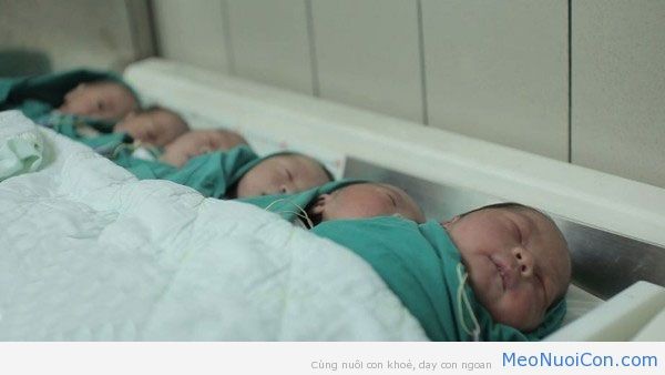 9 bệnh viện có dịch vụ sinh con tốt nhất ở hà nội