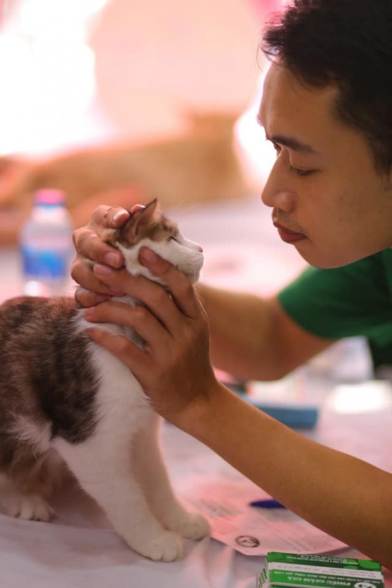 5 Dịch vụ tư vấn dinh dưỡng cho thú cưng tại Hà Nội