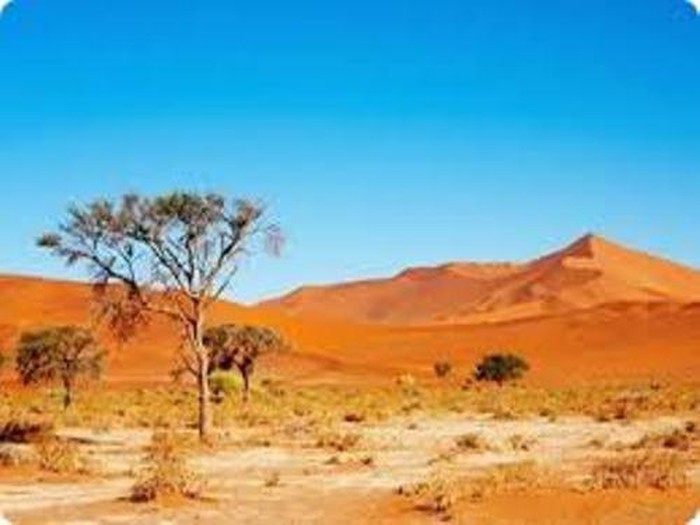 10 sa mạc lớn nhất thế giới