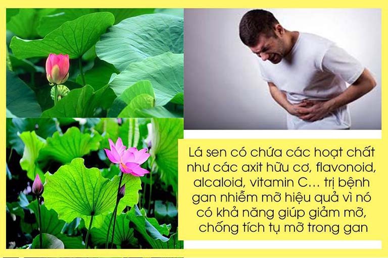 10 cách điều trị gan nhiễm mỡ bằng dân gian tại nhà hiệu quả nhất