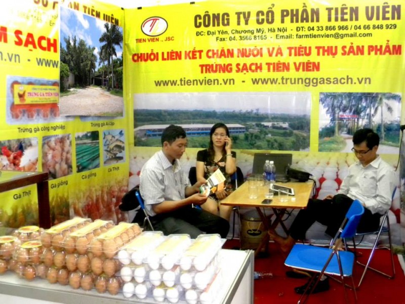6 công ty cung cấp trứng gia cầm sạch tại Việt Nam