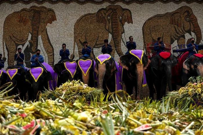du lịch thái lan, lễ hội ở thái lan, , thái lan đãi tiệc buffet hàng tấn hoa quả cho gần 60 con voi
