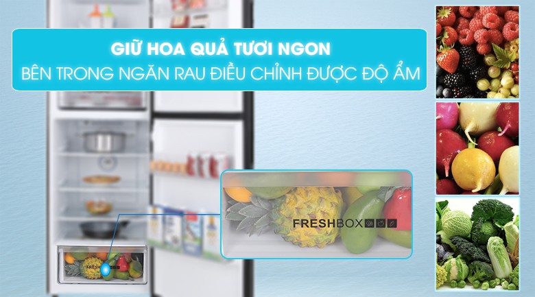 8 tủ lạnh aqua chất lượng và được tin dùng nhất hiện nay