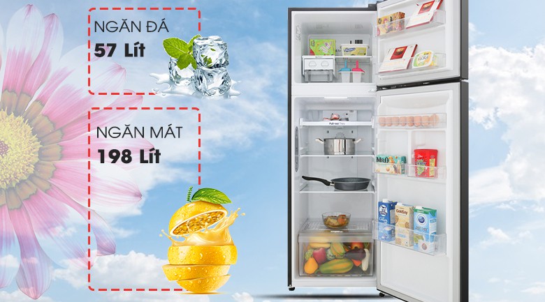 12 tủ lạnh được yêu thích nhất của thương hiệu lg