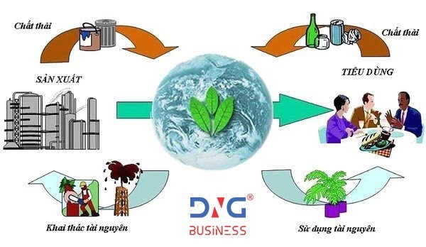 10 dịch vụ tư vấn môi trường chuyên nghiệp tại Đà Nẵng