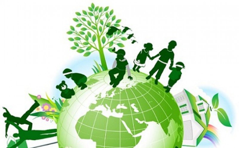 10 dịch vụ tư vấn môi trường chuyên nghiệp tại đà nẵng