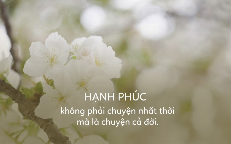 24 bài thơ hay viết về hạnh phúc