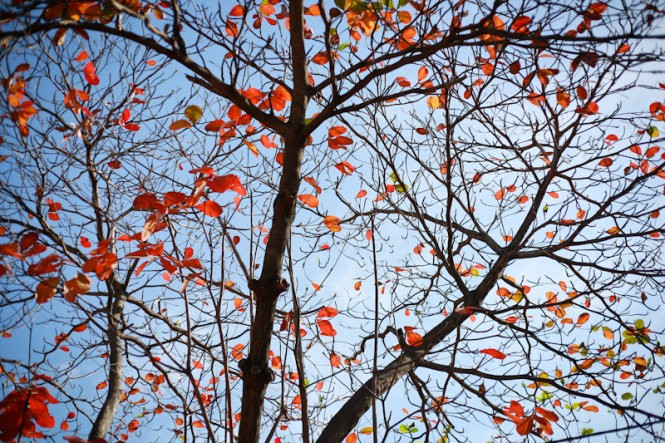 10 bài văn tả cảnh mùa thu hay nhất