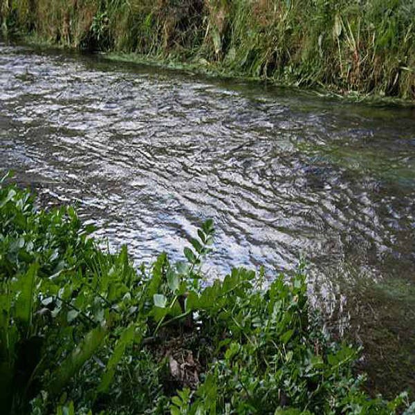 10 dòng sông ô nhiễm nhất trên thế giới hiện nay