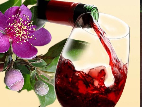 6 công thức ngâm rượu hoa quả ngon nhất mà bạn nên biết