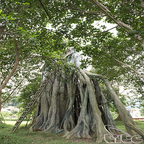 8 điều thú vị về tỉnh tuyên quang