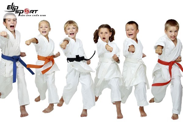 4 trung tâm dạy võ karate tại tp. hcm