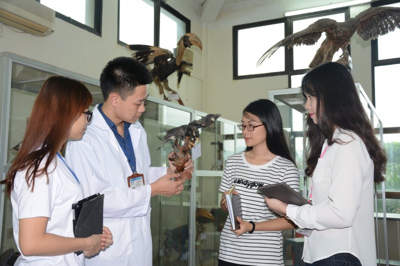 6 trường dạy nghề bác sỹ thú y tốt nhất hà nội