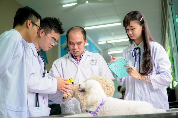 6 trường dạy nghề bác sỹ thú y tốt nhất hà nội