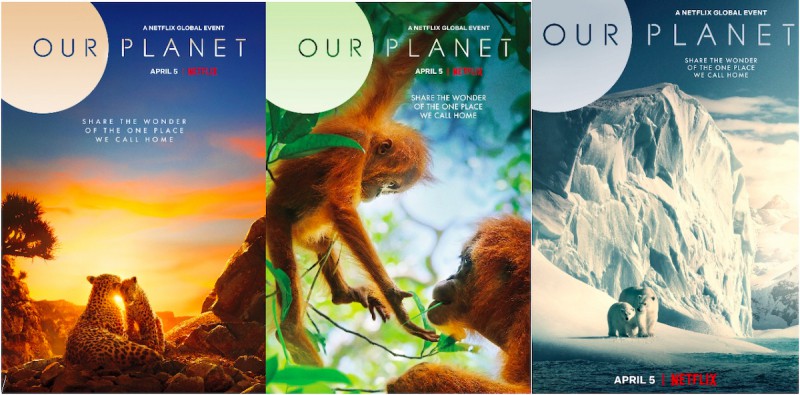 10 phim tài liệu về môi trường giúp bạn thêm trân trọng mẹ trái đất hay nhất