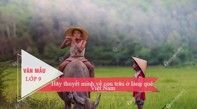 12 bài văn thuyết minh về con trâu ở làng quê việt nam lớp 9 hay nhất