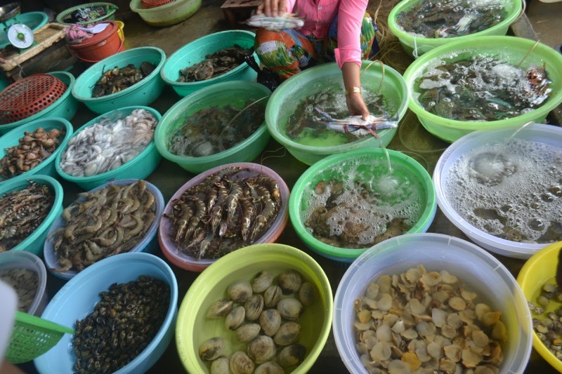 8 Địa chỉ mua hải sản giá rẻ và uy tín nhất tại tỉnh Quảng Ninh