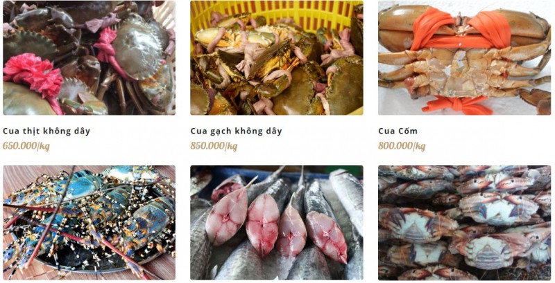 8 địa chỉ mua hải sản giá rẻ và uy tín nhất tại tỉnh quảng ninh