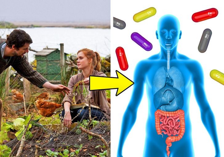 11 phương pháp đào thải độc tố trong cơ thể hoàn toàn tự nhiên, bạn nên biết
