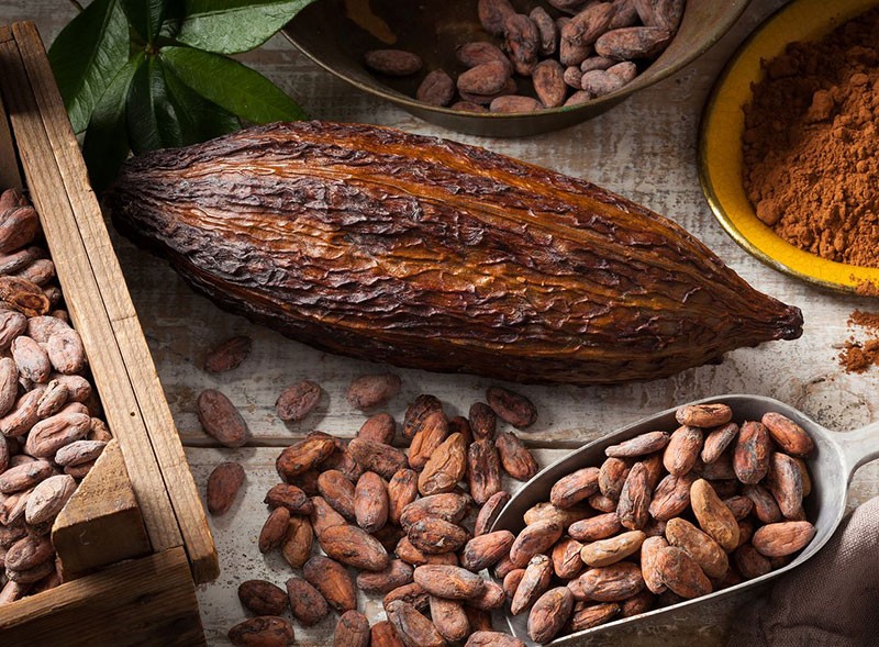 10 Lợi ích tuyệt vời của bột cacao đối với sức khoẻ
