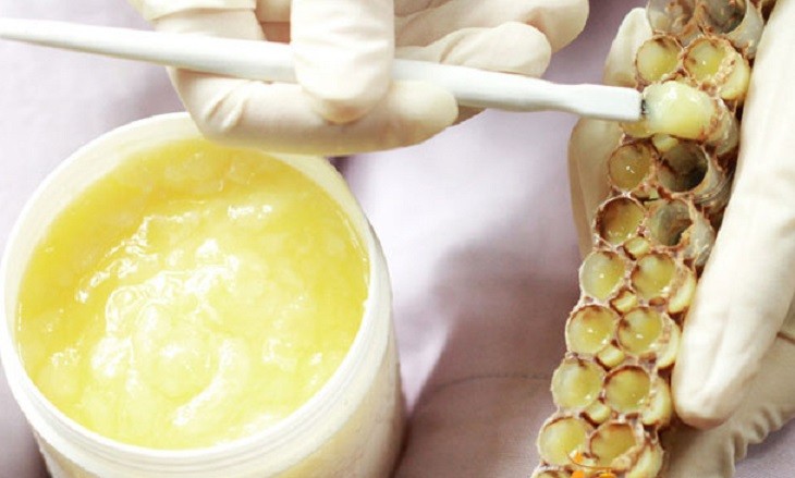 10 công dụng tuyệt vời của sữa ong chúa đối với sức khoẻ mà bạn nên biết