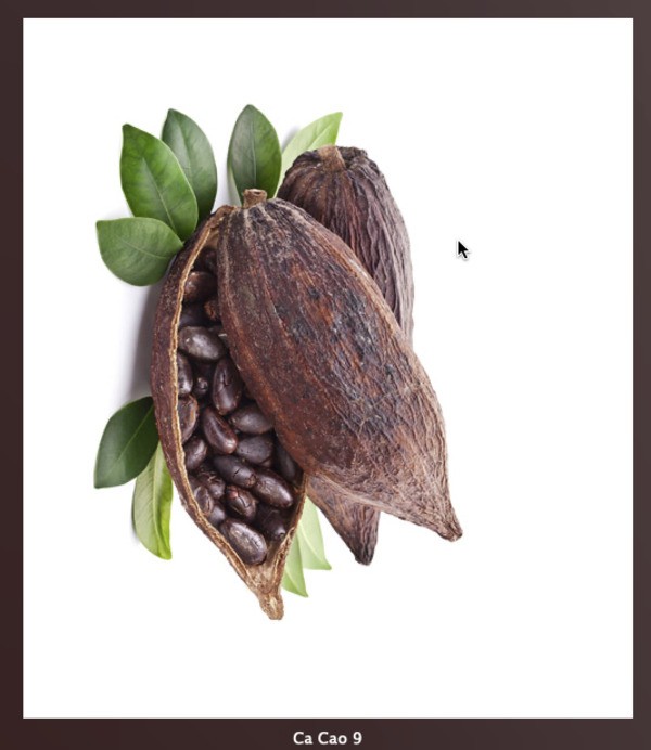 6 Địa chỉ bán bột Cacao nguyên chất tốt nhất TP. Hồ Chí Minh
