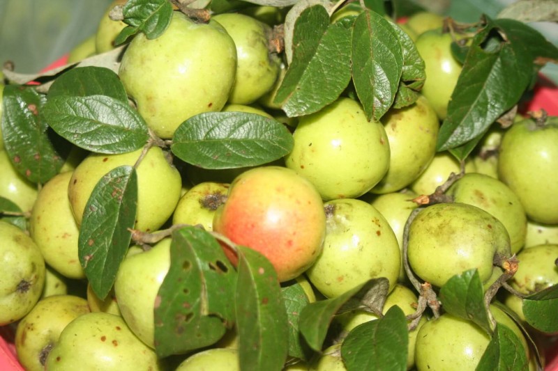 7 cách giảm cân bằng giấm táo hiệu quả, dễ áp dụng nhất