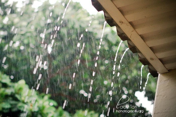 10 bài văn tả cơn mưa hay nhất