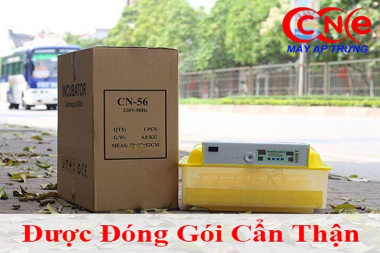 5 địa chỉ cung cấp máy ấp trứng hàng đầu miền bắc