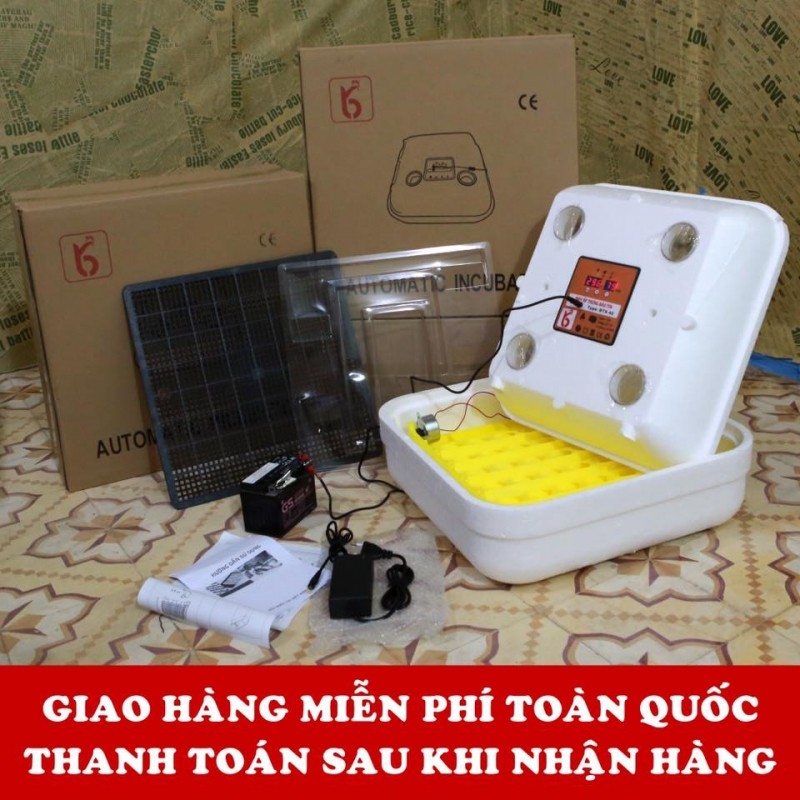 5 địa chỉ cung cấp máy ấp trứng hàng đầu miền bắc