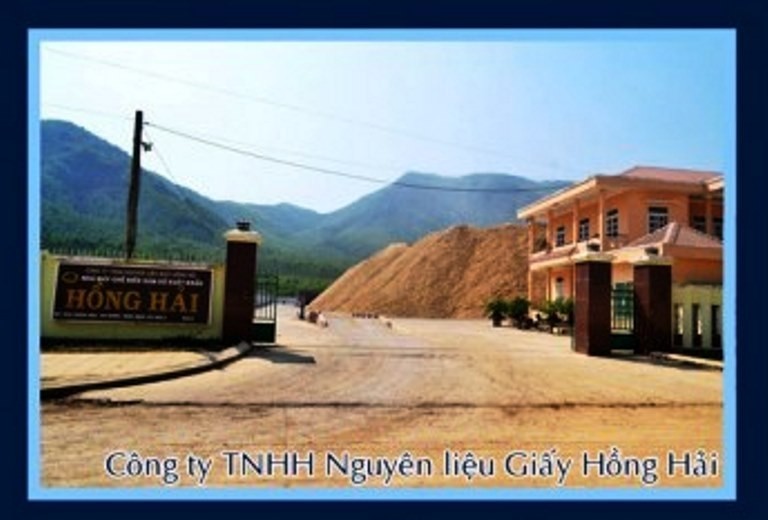 10 Doanh nghiệp lớn nhất tại khu công nghiệp Nhơn Hòa, Bình Định