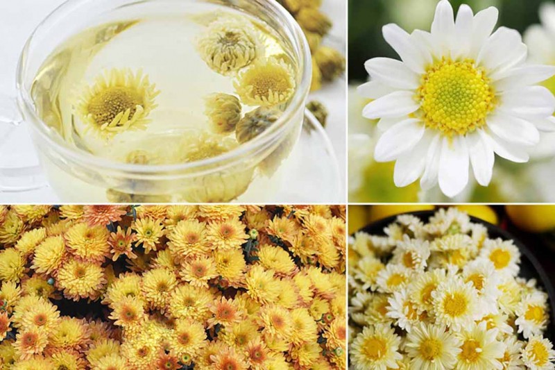 10 loại hoa ăn được và dùng để chế biến thành nhiều món ngon mà bạn nên biết