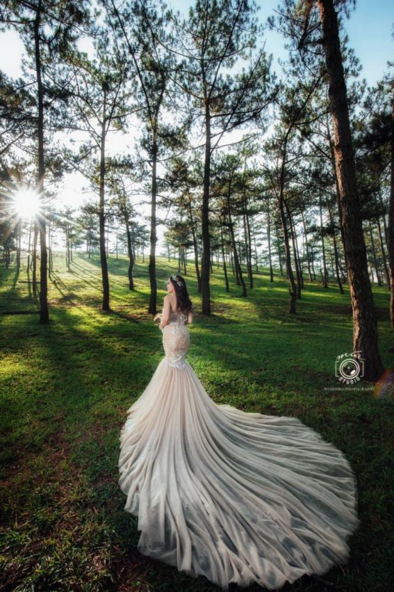 8 Địa chỉ cho thuê váy cưới đẹp nhất TP. Đà Lạt, Lâm Đồng