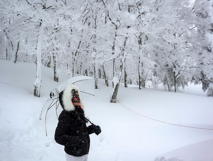 Lên núi tuyết Zao Nhật Bản ngắm ‘rừng quái vật’ đầy ma mị như trong phim