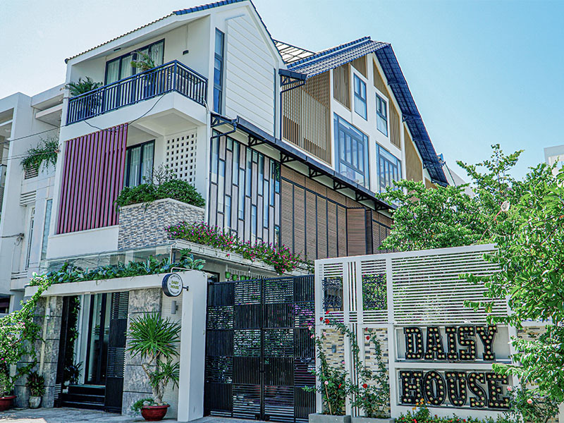 Daisy House Phú Yên – An yên giữa “hoa vàng cỏ xanh” (Review)