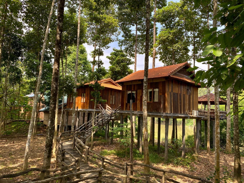 green bamboo lodge resort – vẻ đẹp bình yên núi rừng nam cát tiên