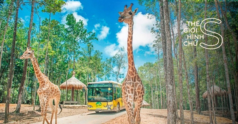 vinpearl safari phú quốc – trọn bộ kinh nghiệm vui chơi chi tiết 2021