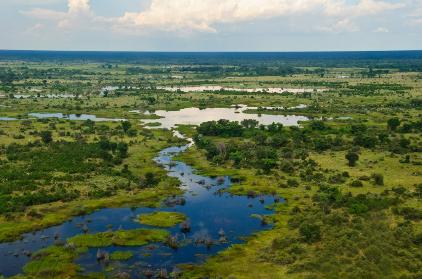 Trải nghiệm cuộc sống thiên nhiên hoang dã tại Botswana