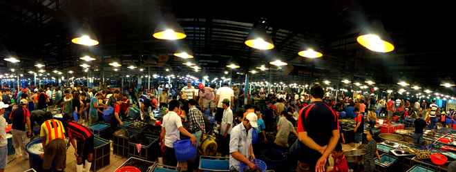 Vào ban đêm ở Sài Gòn cũng có một chợ cá tươi rói đến vậy