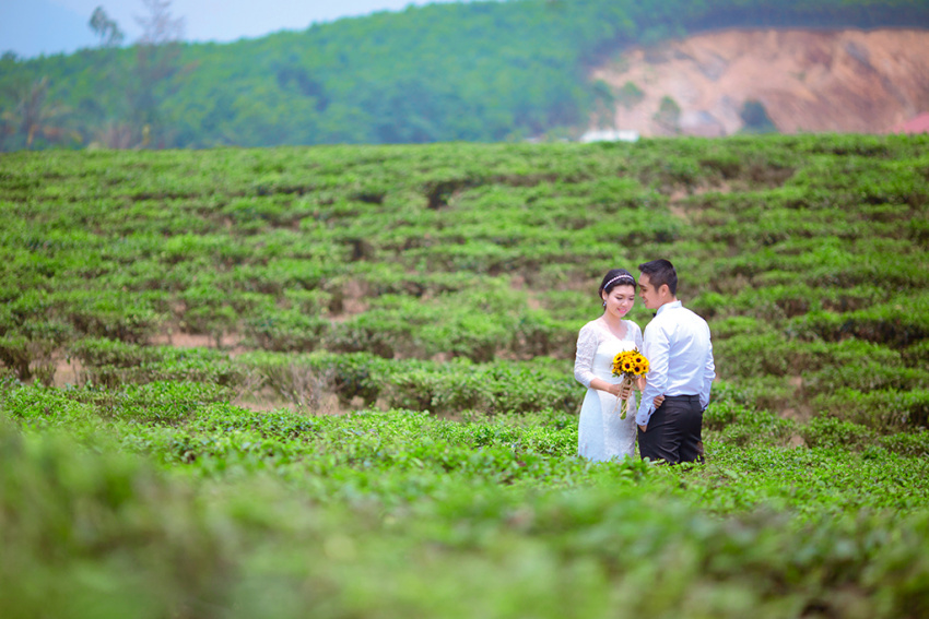 Ngút ngàn sắc xanh nơi đồi chè Đông Giang tại Quảng Nam