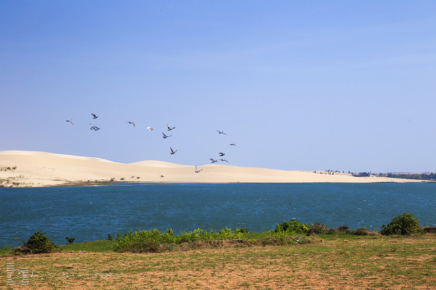 Bình Thuận có một đồi cát Bàu Trắng đẹp hoang dại đến thế