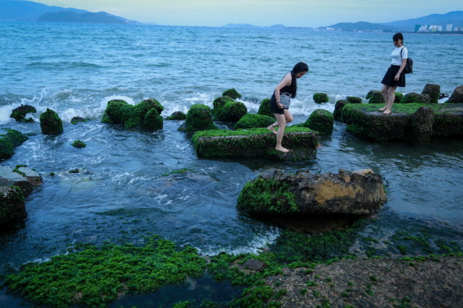 Mùa rêu xanh mướt thu hút du khách ở Nha Trang