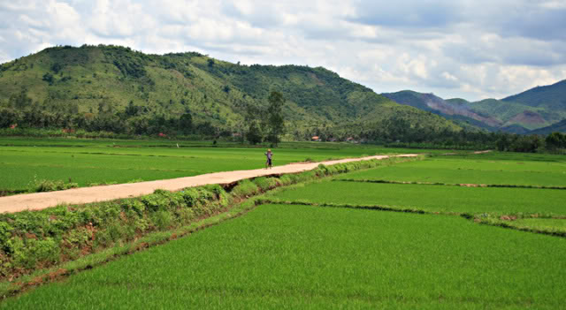 Trải nghiệm vùng đất võ hoang sơ Bình Định